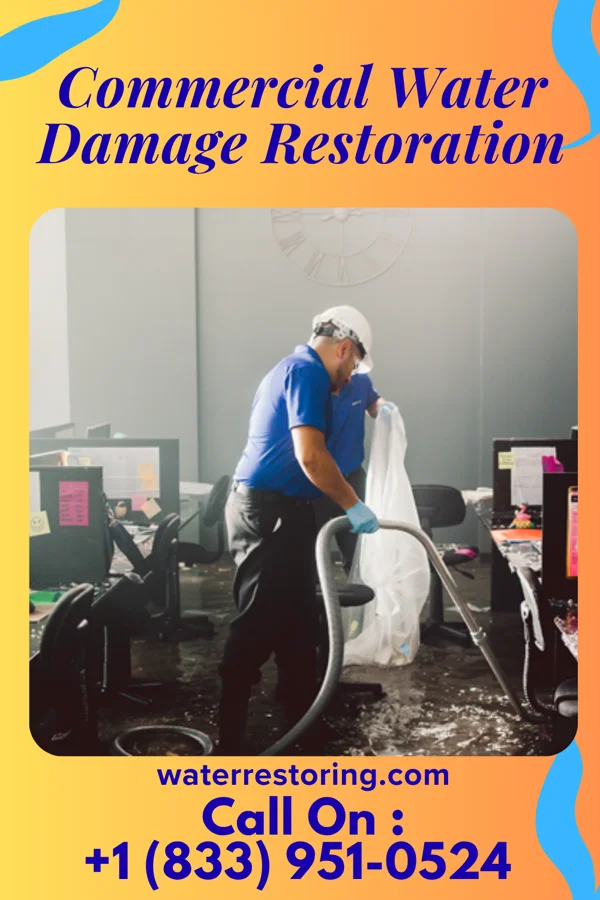 Commercial Water Damage Restoration in Phillipsburg, GA