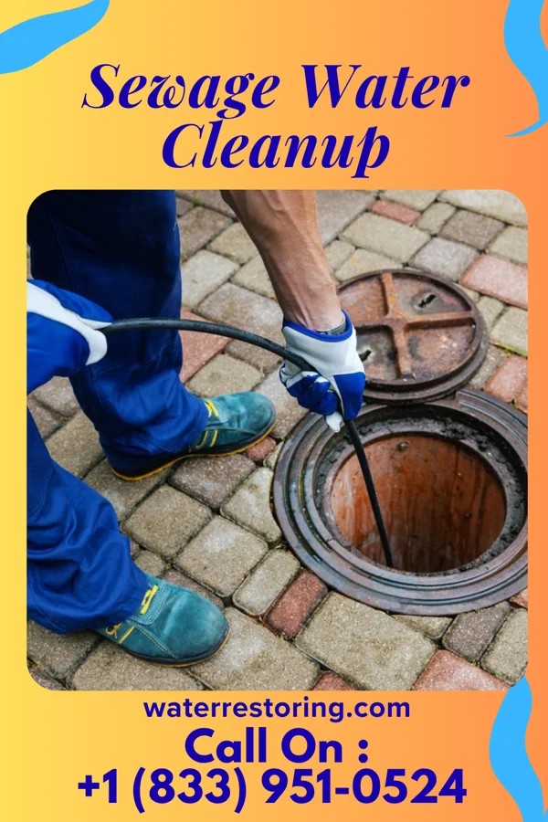 Sewage Water Cleanup in Phillipsburg, GA